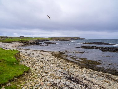 İrlanda 'nın Galway ilçesindeki Inishbofin Adası' nda bir sahil ve kayalık sahil.