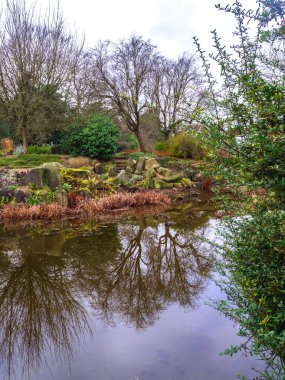 Kışın dalları olan ağaçlar büyük bir bahçe göletine yansıyor.