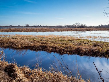 Sel sularına yansıyan mavi gökyüzü ile sel basmış çayırlar.