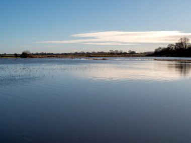 View over a tranquil flooded meadow with a reflected blue sky and white cloud clipart