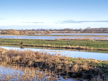 Kuzey Yorkshire, İngiltere 'deki su basmış tarlalara bakın, açık mavi gökyüzü