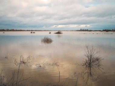 Sel basmış sakin çayır manzarası yansıyan mavi gökyüzü ve bitki örtüsüyle