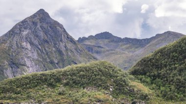 Norveç, Senja Adası 'ndaki engebeli dağ zirveleri ve bitki örtüsü