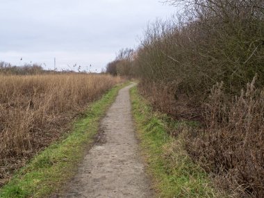 Çıplak bir çitin yanındaki patika ve çimenli bir sazlık.