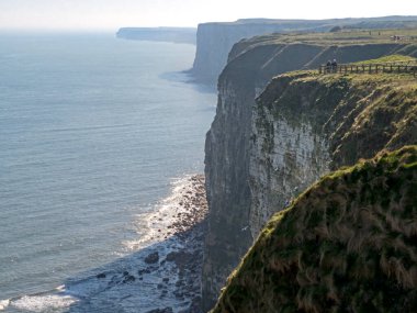 Bempton Kayalıkları, Kuzey Yorkshire, İngiltere 'deki uçurumlara bakın.