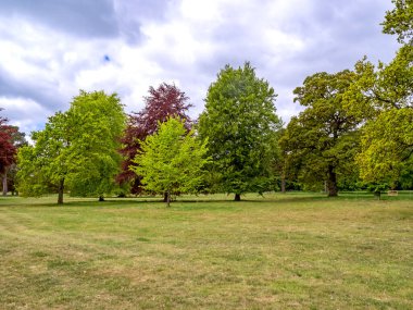 Bulutlu bir gökyüzü olan parkta taze bahar yapraklarıyla karışık ağaçlar.