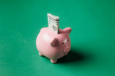 Pembe bir domuz kumbarası yeşil bir zemine yaslanır. Tasarruf ve finansal planlamayı sembolize eden bir dolar banknot kısmen yuvaya yerleştirilir.
