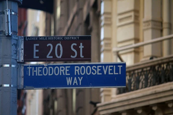 Brown East 20Th Street Och Theodore Roosevelt Way Historiska Skylt — Stockfoto