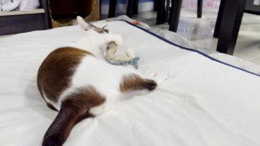 Hong Kong Tramvayları, Hong Kong - 14 Nisan 2024 - Hong Kong tramvayları Hong Kong 'da dar geçitli bir tramvay sistemidir.. 