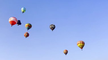 Chiang Rai, Tayland - 14 Şubat 2025 - Singha Park ChiangRai Uluslararası Balon Festivali