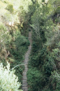 Terk edilmiş bir tren yolunun hava görüntüsü