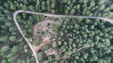 Top view of a pincer curve mountain road