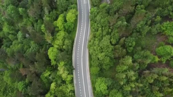 Dağ Yolunun Havadan Görünüşü Ormanın Içinden Geçen Temiz Bir Yol — Stok video