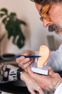 Ses bilimci bir model ve kalem kullanarak kulak yapısını açıklıyor