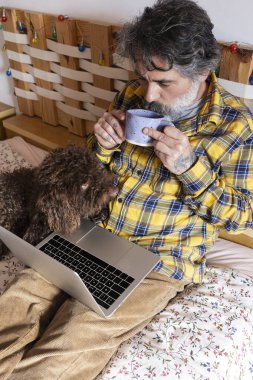 Serbest çalışan biri sabah çayının keyfini çıkarıyor ve sıcak yatak odasında İspanyol su köpeği arkadaşıyla birlikte dizüstü bilgisayarla çalışıyor.