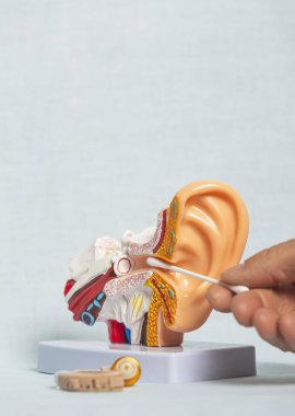 Kulak temizleme sisteminde pamuklu çubukla kulak temizleme ve kulak temizliği ve iç kulak yapısını gösteriyor.