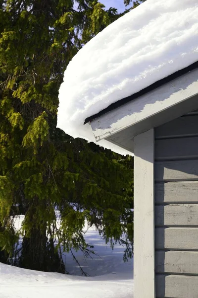 Cabin Forest Covered Snow — Stock Photo, Image