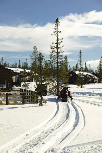 雪に覆われた木々の間の木製のシャレー ストロンナ スウェーデン — ストック写真