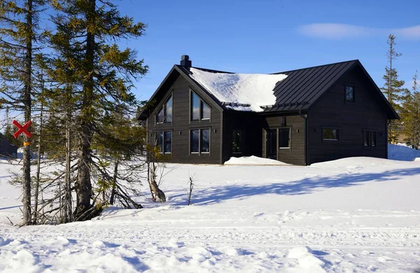 Chalets Madera Entre Árboles Nevados Storhogna Suecia — Foto de Stock