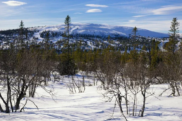 Natuur Van Noord Europa Lapland Winter — Stockfoto