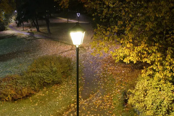Autumn. A view of the lit road in the park at night