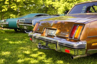  1979 Oldsmobile Cutlass arka taraftan