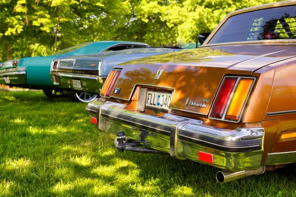  1979 Oldsmobile Cutlass arka taraftan