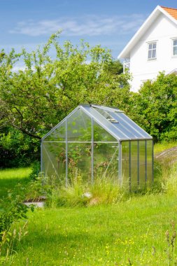 Çiçek ve bitkilerle dolu yeşil bir evi olan bahçe.