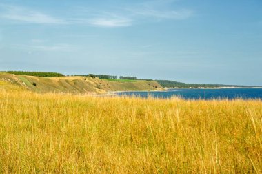 sahte stenar yakınındaki ystad, İsveç
