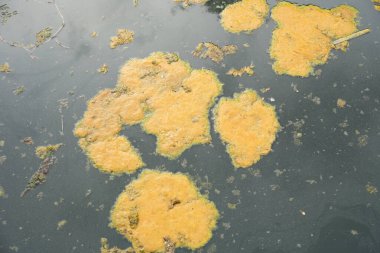 Atık su, Kirlilik Çevre kavramı