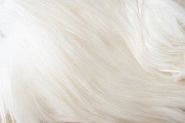 Arkaplan dokusu için beyaz yünlü koyun postunu kapat