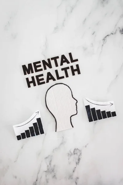 Mental Health Mood Swings Conceptual Image Cardboard Head Stress Text — Foto de Stock