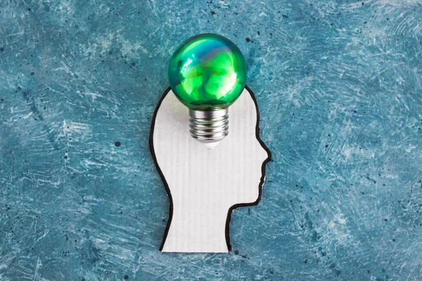 Cardboard Head Silhouette Green Light Bulb Metaphor Ideas Green Economy — Stock Photo, Image