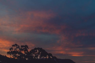 purple and pink sunset over the mountains with eucalyptus gum trees silhouettes shot in Tasmania in winter