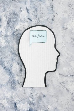 gender identity pronouns She Her on cardboard head's mind, concept of respecting people's identity in society