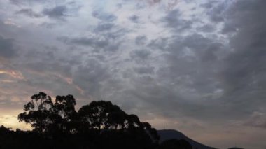 Dağların üzerinden geçen altın günbatımı bulutları ve Tazmanya, Avustralya 'da çekilmiş okaliptüs sakız ağaçları.