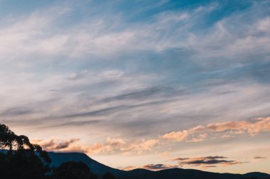 Kışın Tazmanya 'da çekilen okaliptüs ağacı siluetleriyle dağların üzerinde görkemli bir alacakaranlık.