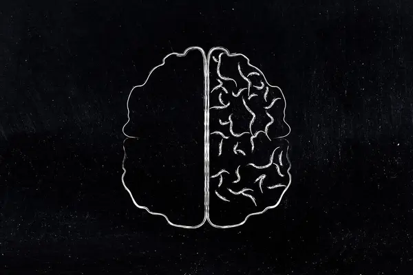 Иллюстрация Мозга Пустой Левой Правой Стороны Корой Головного Мозга — стоковое фото