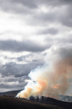 Avustralya 'da orman yangını riskini azaltmak için yoğun duman yaratan kontrollü yanıklar. 