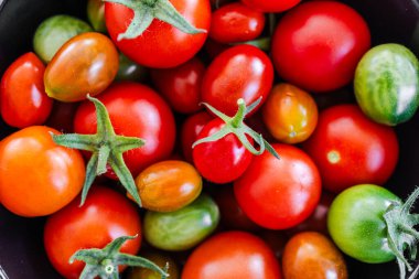 Bir kase taze toplanmış kiraz domatesleri, bahçeden gelen sade ve sağlıklı malzemeler konsepti.