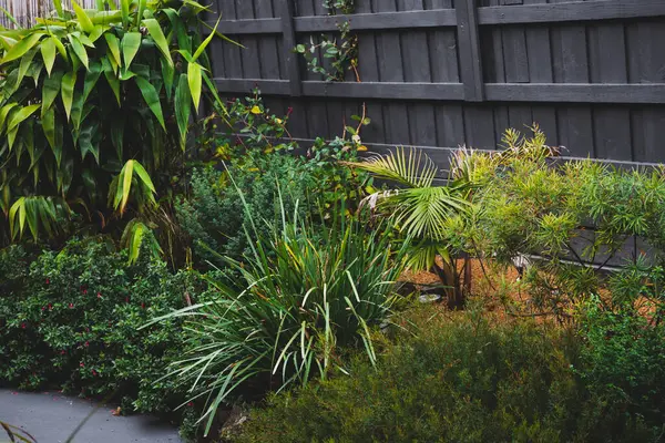 Avustralya 'nın yerli bitkilerinden, palmiye ağaçlarından, bambudan ve ketenden oluşan yemyeşil ve canlı bir bahçe.