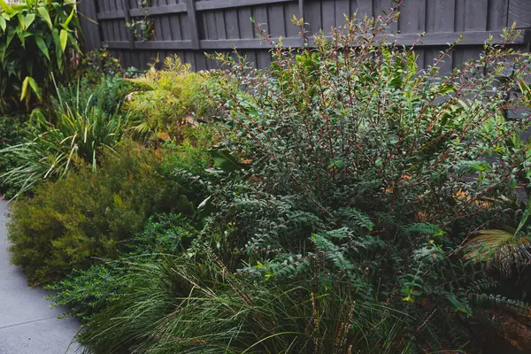 Avustralya 'nın yerli bitkilerinden, palmiye ağaçlarından, bambudan ve ketenden oluşan yemyeşil ve canlı bir bahçe.