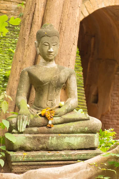 Antigua Estatua Buda Wat Umong Chiang Mai Tailandia — Foto de Stock