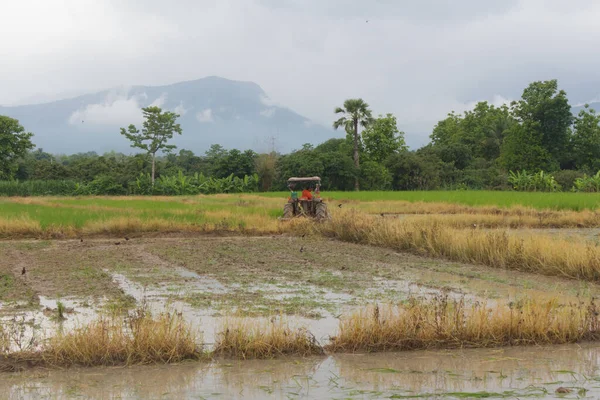 田のトラクター メカニズム農家の稲作 — ストック写真