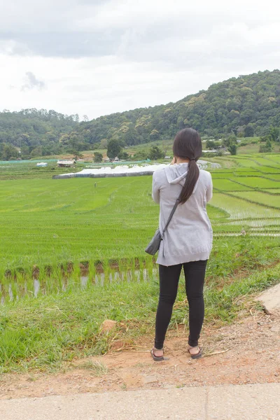 Mujeres Asiáticas Campo Arroz Con Terrazas Verdes Mae Klang Luang —  Fotos de Stock