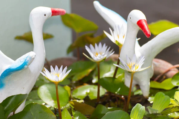 White Lotus White Pelicans Statue — Stock Photo, Image