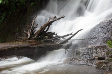 Doi Inthanon Ulusal Parkı 'nda Siribhum Şelalesi Chiangmai Thai