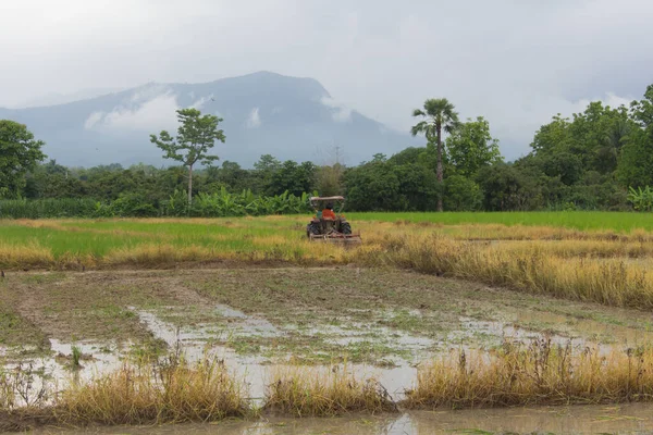 田のトラクター メカニズム農家の稲作 — ストック写真