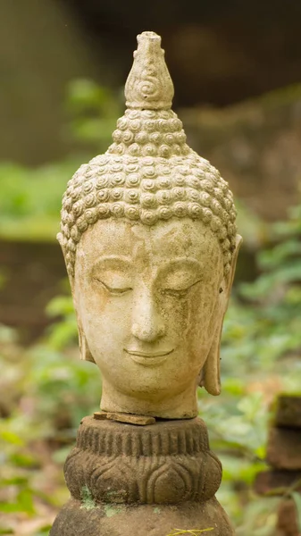 Estatua Buda Cabeza Vieja Wat Umong Chiang Mai Tailandia —  Fotos de Stock