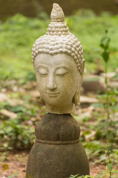 Oude Hoofd Boeddhabeeld Wat Umong Chiang Mai Thailand — Stockfoto